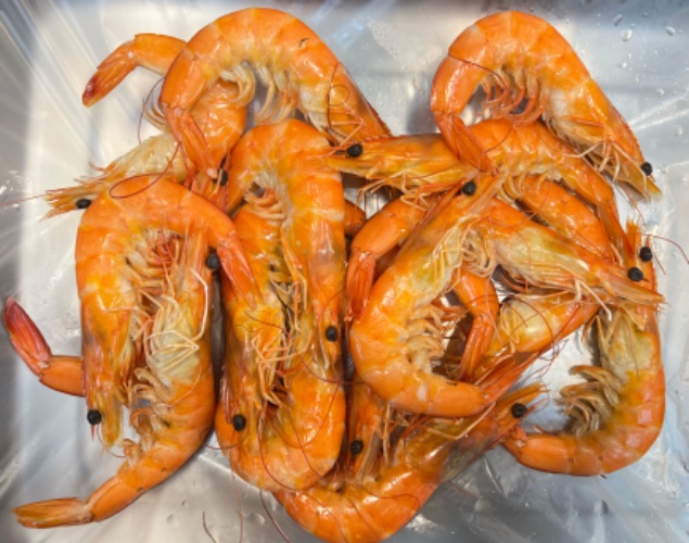 現煮大蝦(600g)