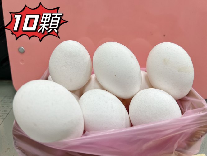 傳統白蛋(10顆)