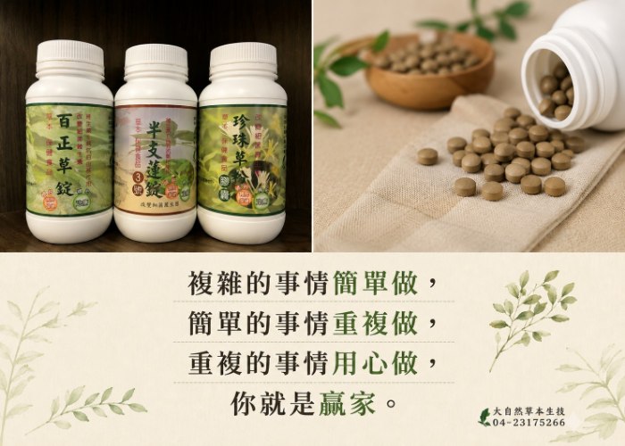 大自然草本 半支蓮錠3號*270粒/罐+大自然草本 半支蓮錠6號*270粒/罐