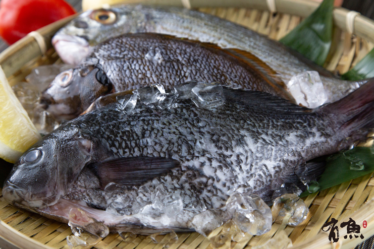 有魚生鮮