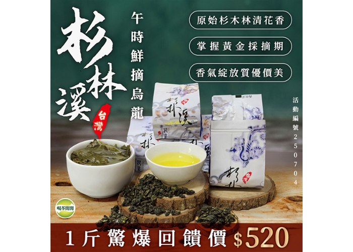 250704 杉林溪午時鮮摘烏龍